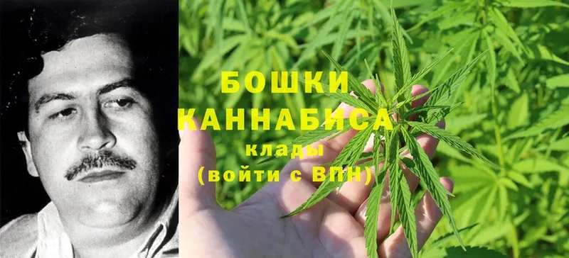 Бошки марихуана Bruce Banner  Менделеевск 